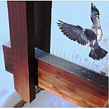 Шипы металлические противоприсадные  "Еж-металл 20" (устройство для отпугивания птиц) 50 см, 40 шипов, 2 ряда